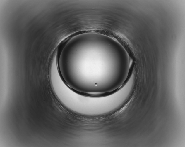 X0000087351457200704271411