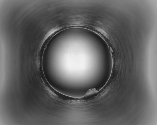 X0000087351458200704271411