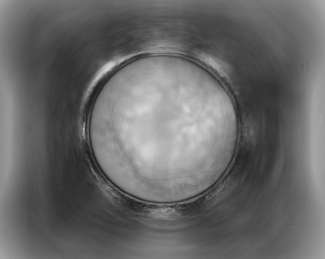 X0000087351462200704271411
