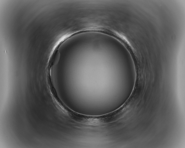 X0000087351463200704271411