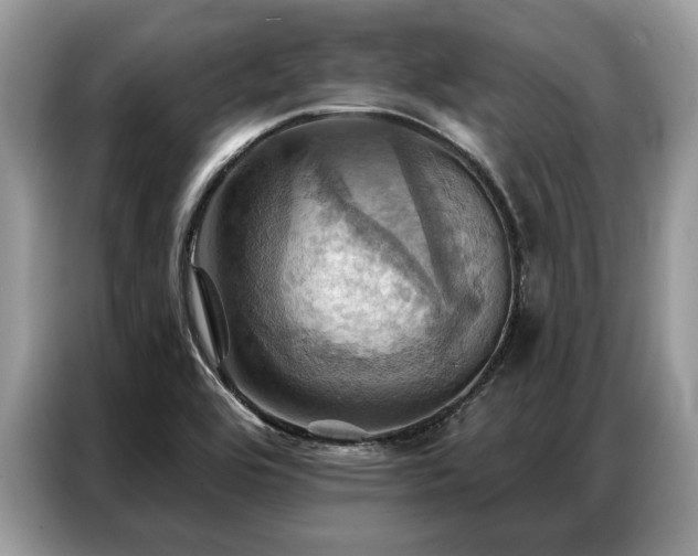 X0000087351464200704271411