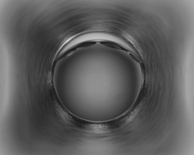 X0000087351465200704271411
