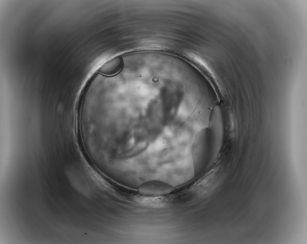 X0000087351467200704271411