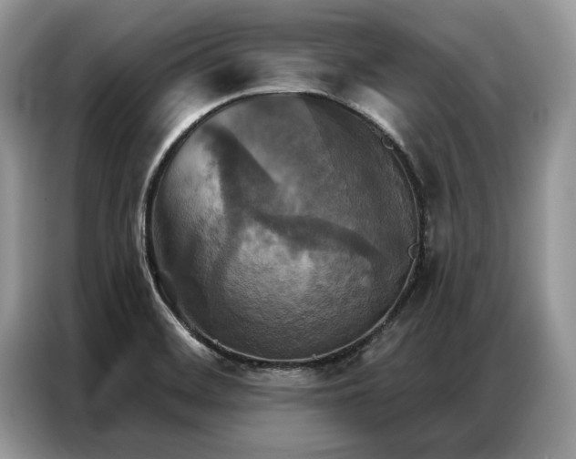X0000087351468200704271411