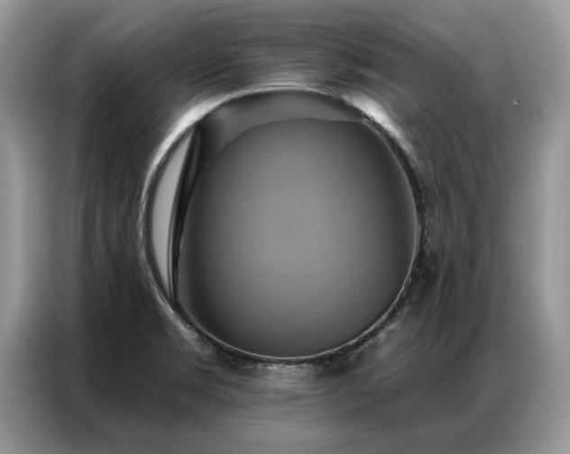 X0000087351469200704271411