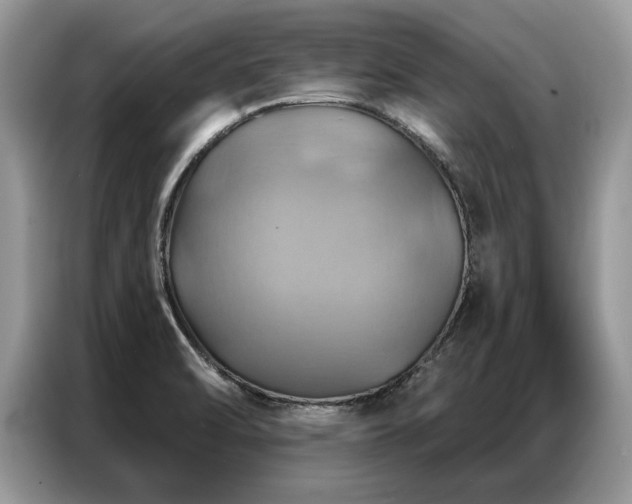 X0000087351470200704271411