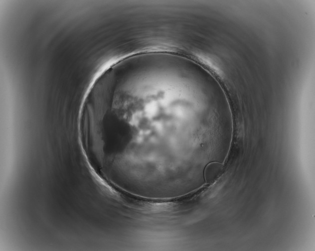 X0000087351471200704271411