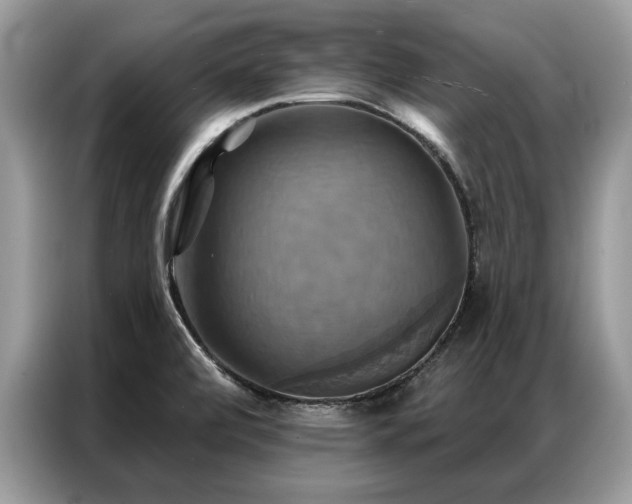 X0000087351472200704271411