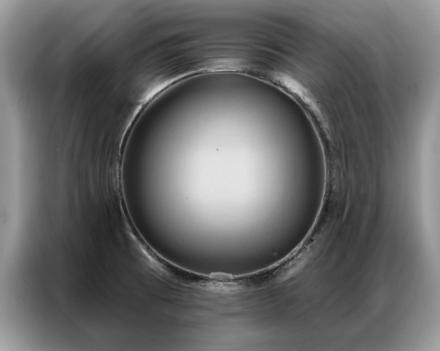 X0000087351473200704271411