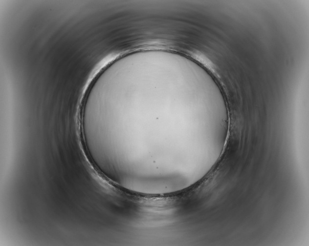 X0000087351474200704271411