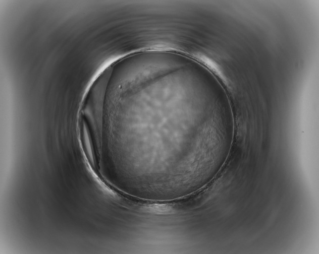 X0000087351476200704271410