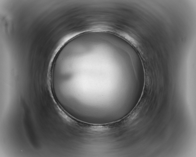 X0000087351478200704271410