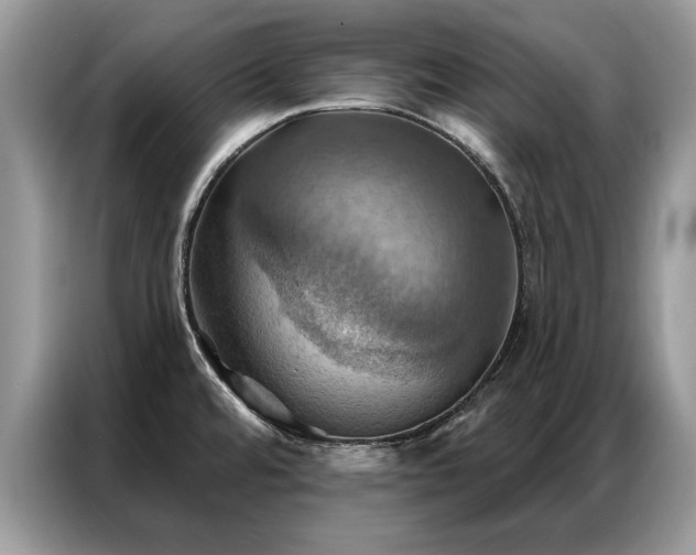 X0000087351480200704271410