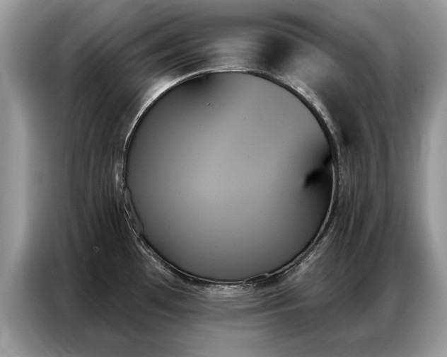 X0000087351481200704271410