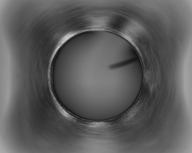 X0000087351482200704271410