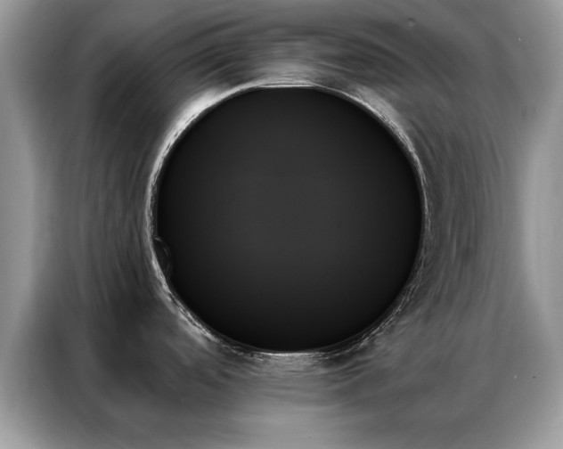 X0000087351488200704271410