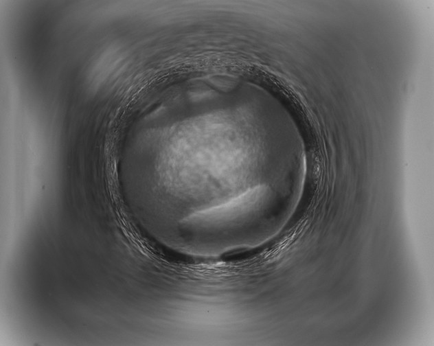 X0000087351489200704271410
