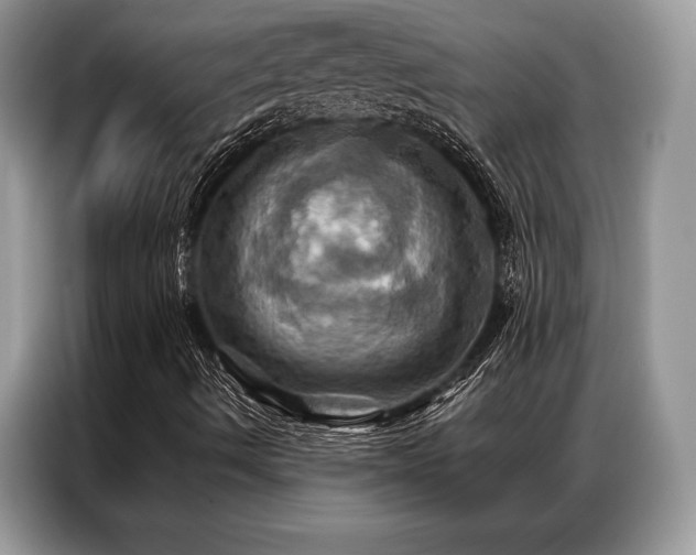 X0000087351490200704271410