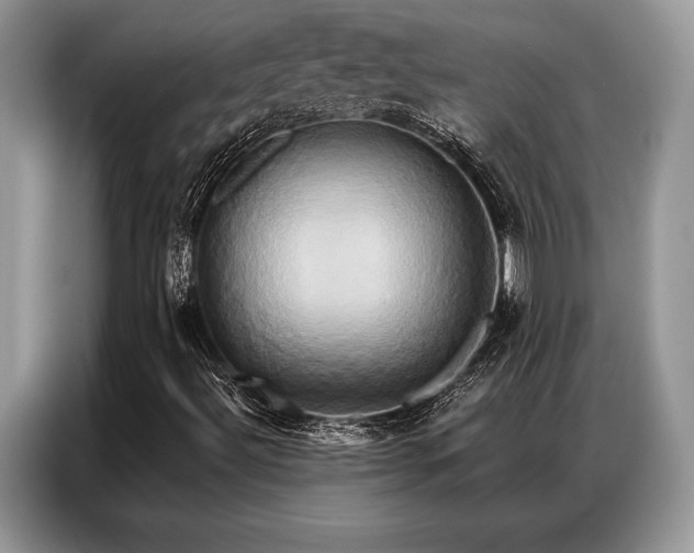 X0000087351492200704271410