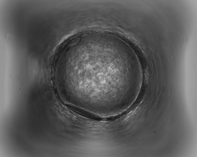 X0000087351494200704271410