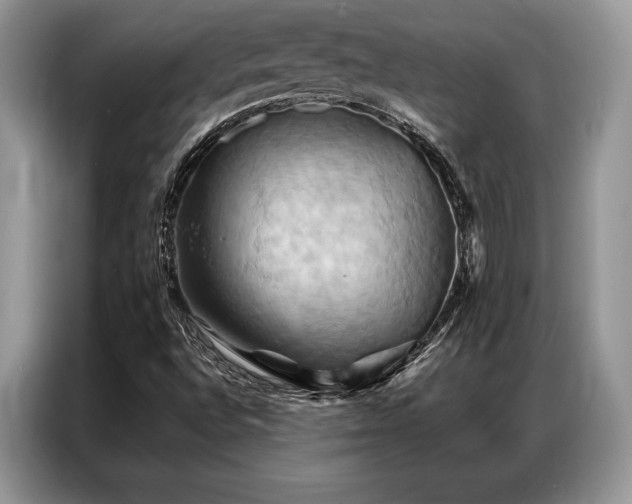 X0000087351496200704271410