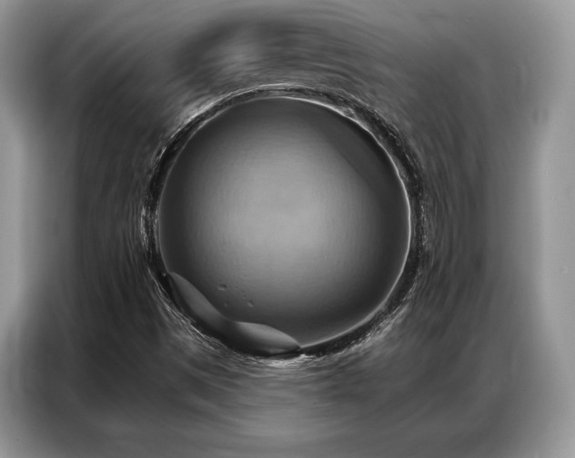 X0000087351497200704271410