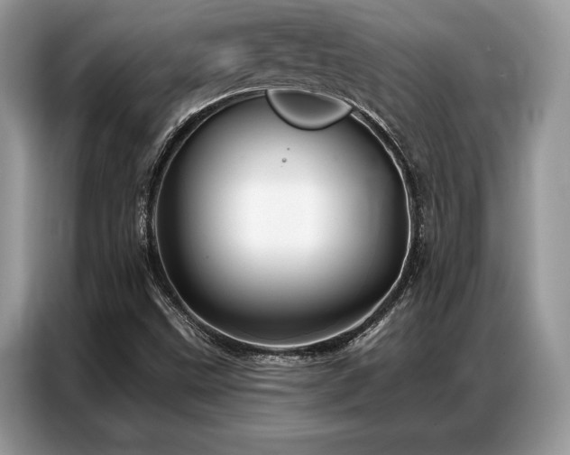 X0000087351499200704271410