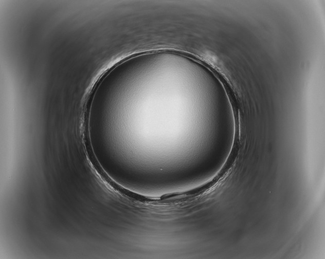 X0000087351500200704271410