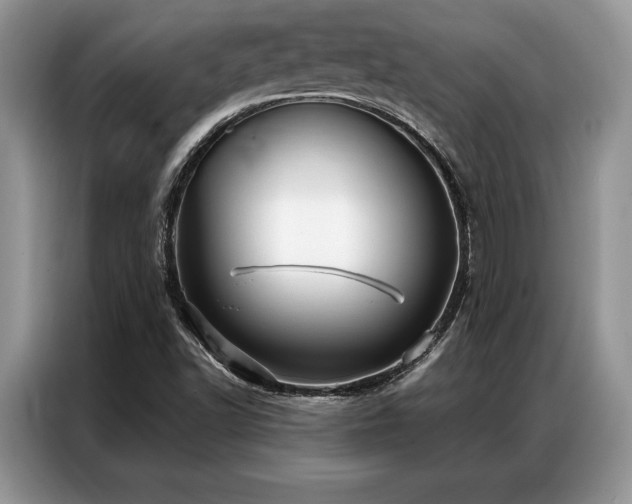 X0000087351502200704271410