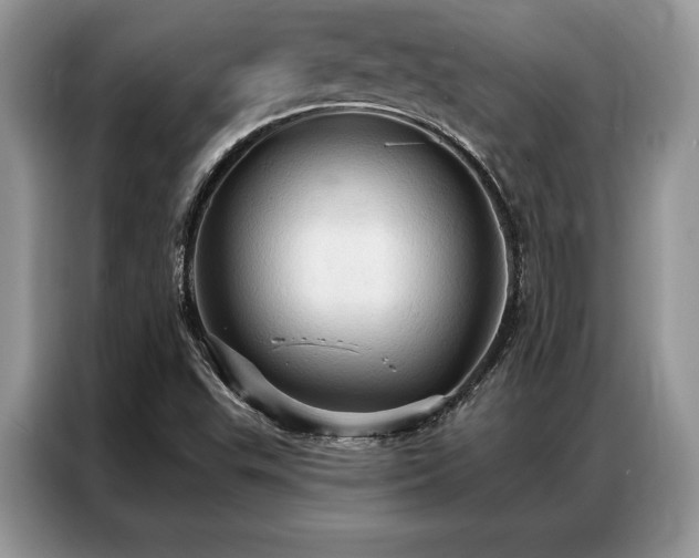 X0000087351503200704271410