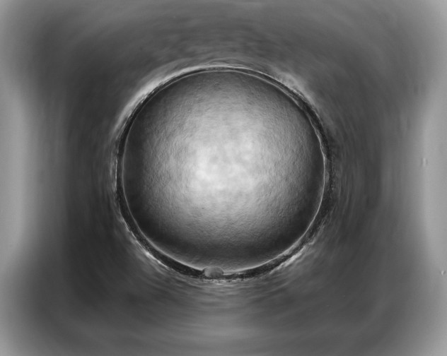 X0000087351504200704271410