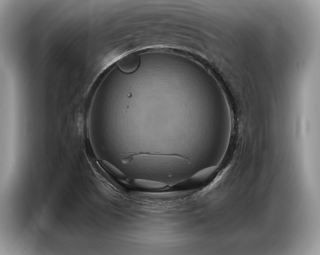 X0000087351505200704271410