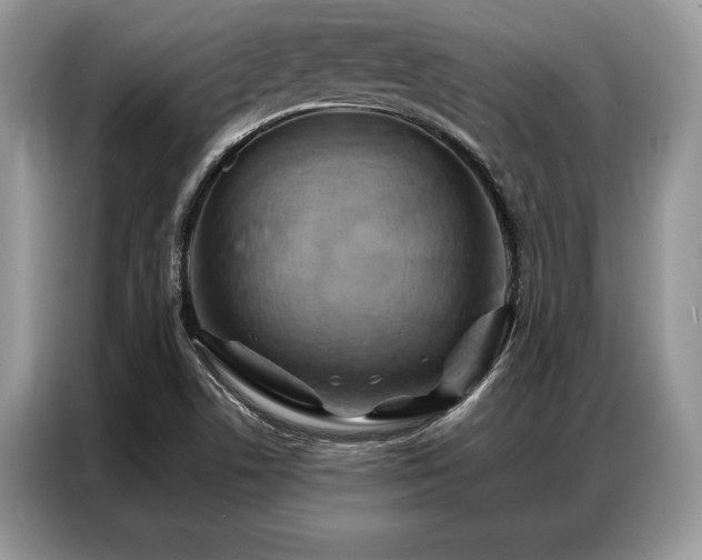X0000087351506200704271410