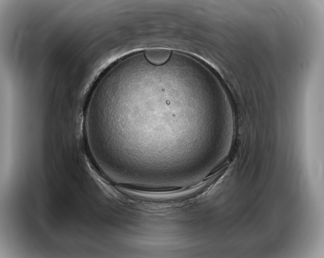 X0000087351507200704271410