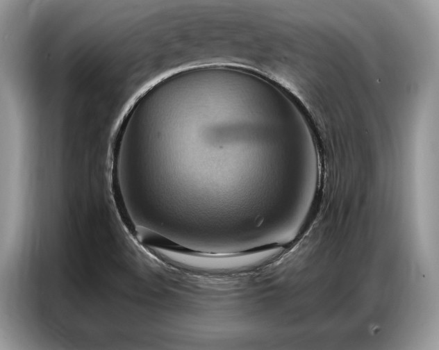 X0000087351508200704271410