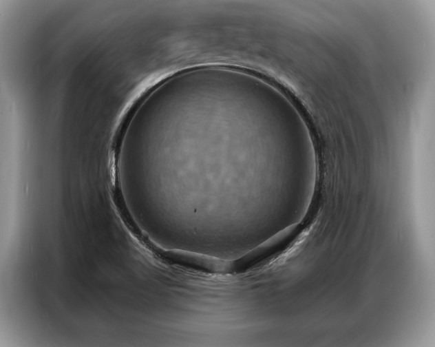 X0000087351509200704271410