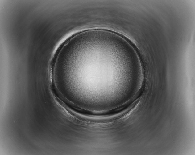 X0000087351510200704271410