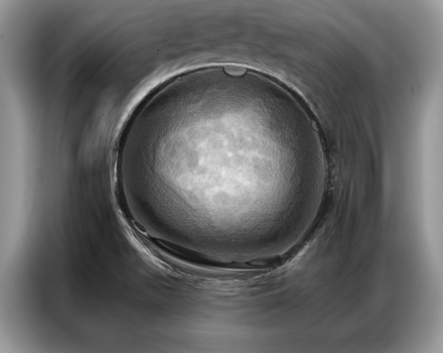 X0000087351511200704271410