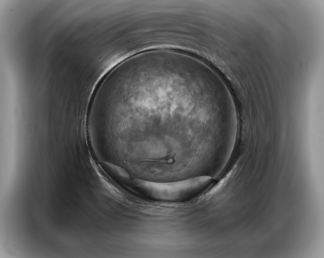 X0000087351513200704271410
