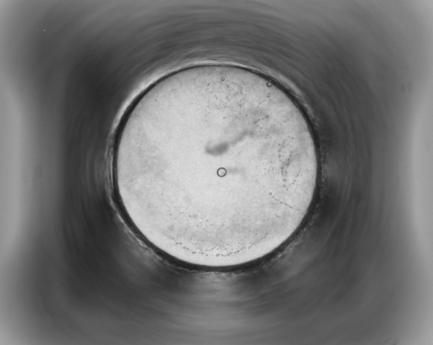 X0000087351514200704271410