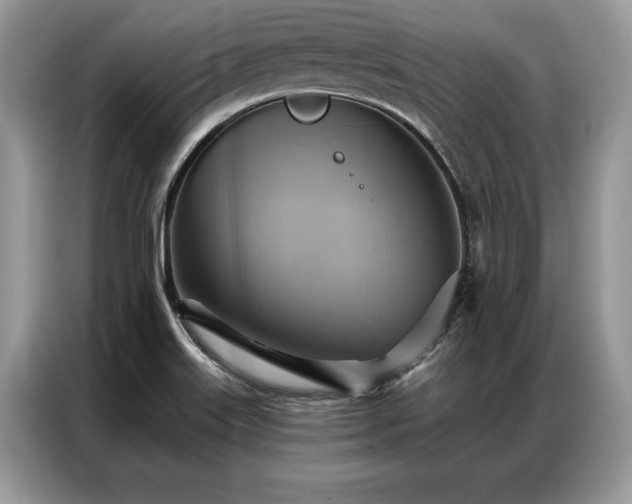 X0000087351515200704271410