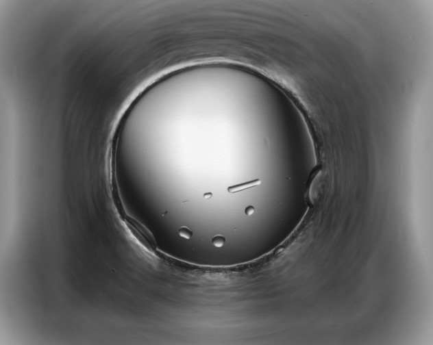 X0000087351516200704271410