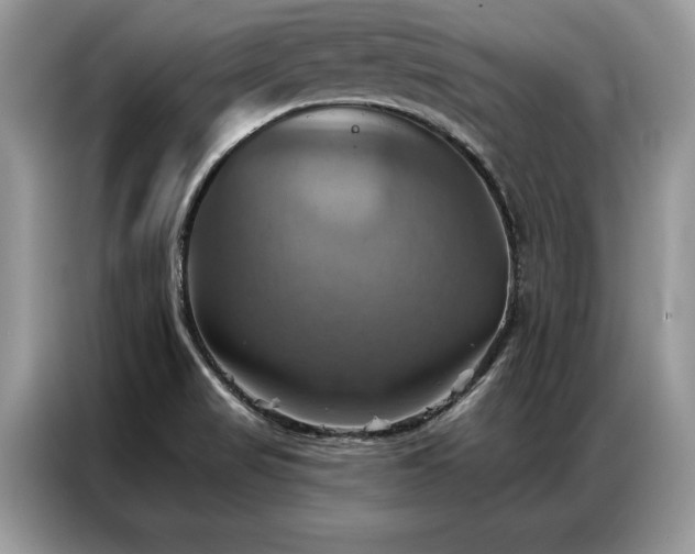 X0000087351517200704271410
