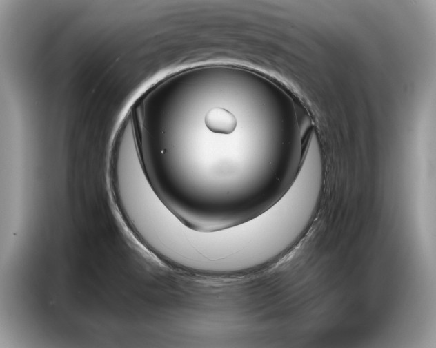 X0000087351518200704271410