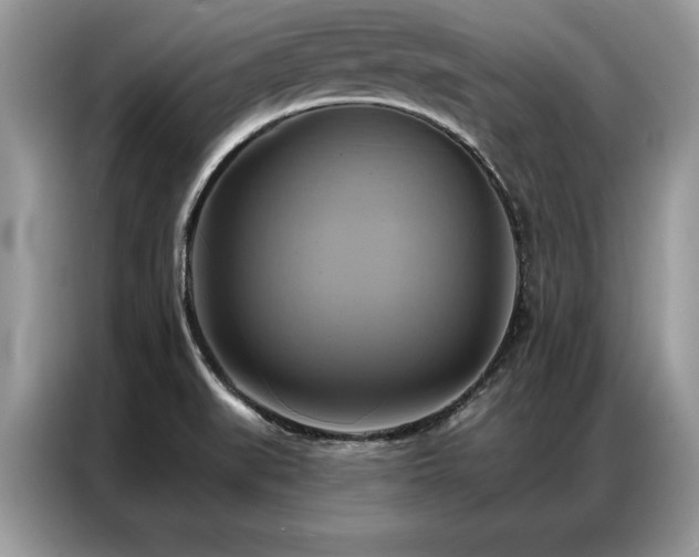 X0000087351519200704271410