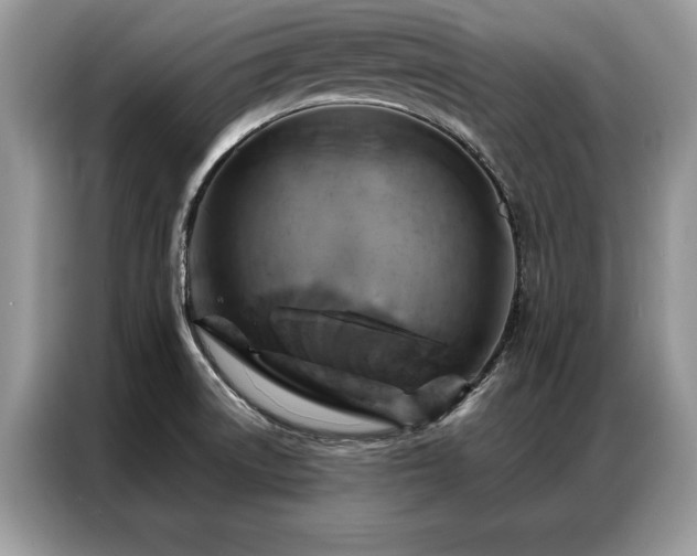 X0000087351522200704271410