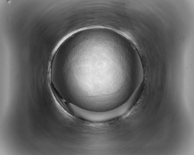 X0000087351524200704271410