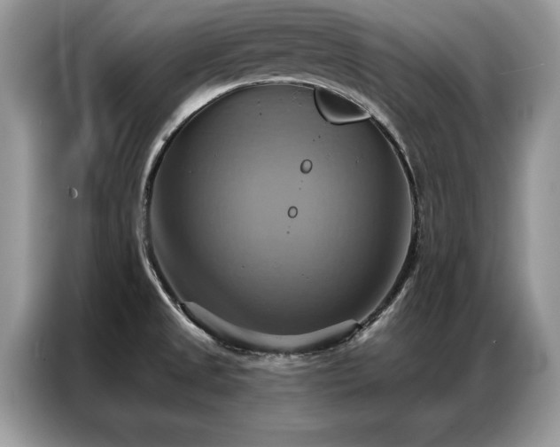 X0000087351525200704271410