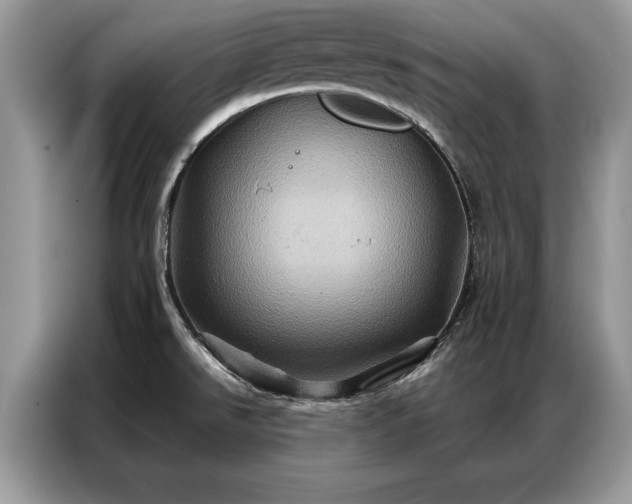 X0000087351526200704271410