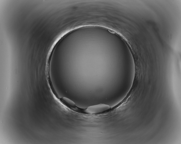 X0000087351527200704271410
